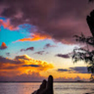 Meet your Posher, Ember